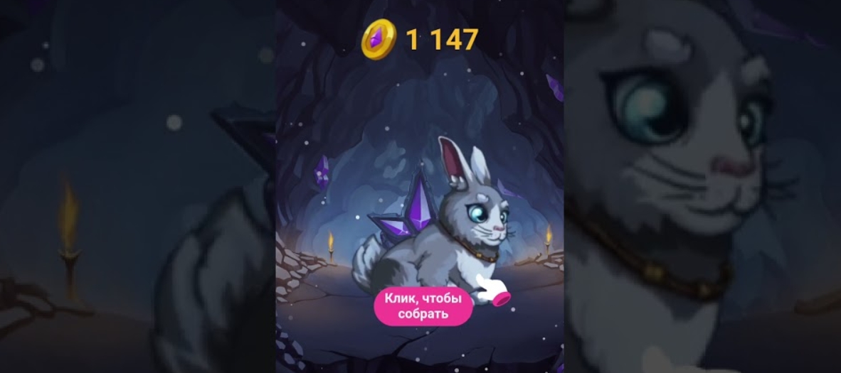 Bunny APP вывод денег