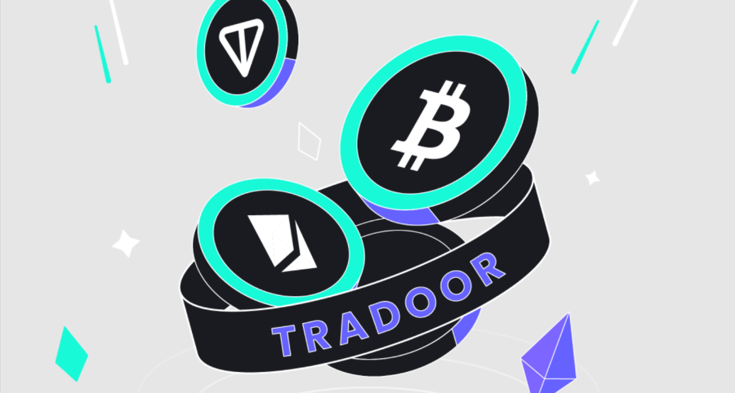 Tradoor trading bot как вывести деньги