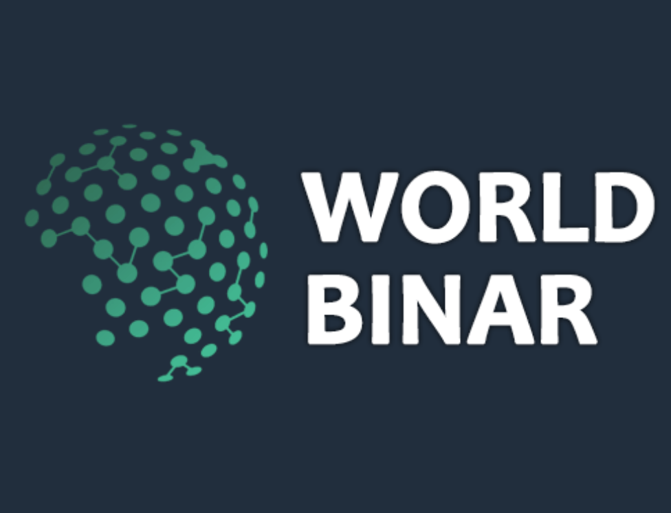 WorldBinar разоблачение