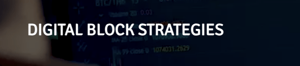 DIGITAL BLOCK STRATEGIES лого