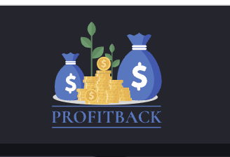 Profit Back логотип